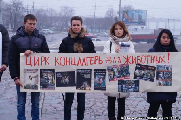 В Днепре и Запорожье прошли акции за запрет животных в цирках