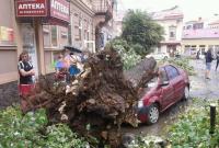 Ужгород в плену стихии: в городе после урагана повалены деревья и затоплены улицы