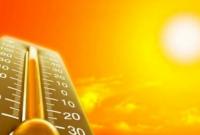 Во Франции рекордная жара, температура воздуха приблизилась к отметке 50-ти градусов