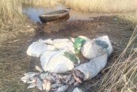 Браконьеры в Одесской области наловили рыбы на 50 тысяч грн
