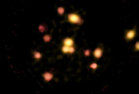 Ученые сняли, как 14 галактик мчатся на встречных курсах