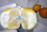 В Донецкой области в тюрьму пытались передать наркотики в лимоне
