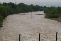 Наводнение на Прикарпатье подтопило 190 домов