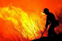 Сегодня в Украине будет преобладать чрезвычайный уровень пожарной опасности