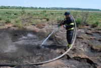 Во Львовской области вспыхнул масштабный торфяной пожар