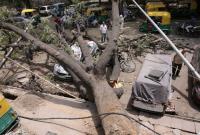 По меньшей мере 30 человек погибли в Индии из-за мощного урагана