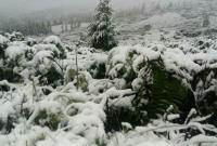 Снег в Карпатах: спасатели доставили туристов из палаточного лагеря в деревню Белин