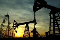 Крупнейшая хорватская нефтегазовая компания заинтересовалась разработкой украинских недр