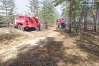 В Луганской области загорелось около 5 гектаров леса