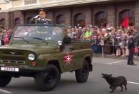Принимали два осла и собака: в сети высмеяли "парад" в ДНР