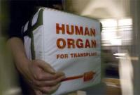 Новый закон о донорстве в Украине: легализуют трансплантацию органов