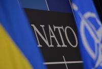 В ПА НАТО положили на Россию ответственность за нарушение прав человека на Донбассе