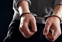 На Закарпатье арестовали мужчину за нападение на пенсионерку