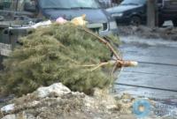 Сдались накануне 8 Марта: в Одессе выбросили новогоднюю елку