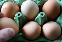 Крупнейший производитель яиц в Украине резко сократил убыток