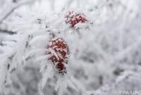 Прогноз погоды: В Украине царит зима