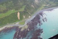 Острова Новой Зеландии сближаются после землетрясения