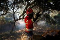 В Португалии вспыхнули лесные пожары: есть раненые