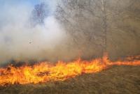 На военном полигоне в Харьковской области произошел пожар