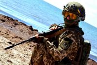 Пехота, авиация и артиллерия ВСУ провели совместные учения на Азовском побережье
