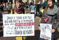 Животные - не игрушки. В крупных городах Украины прошли марши зоозащитников