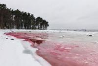 В Эстонии море стало кроваво-красным