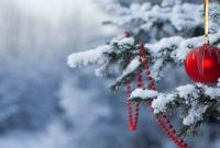 Украинские полярники записали новогоднее поздравление из далекой Антарктиды