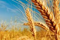Украина экспортировала уже более 42 млн тонн зерна