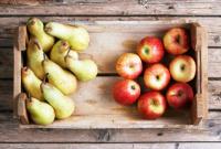 В этом году в Украине ожидают уменьшения урожая яблок и груш