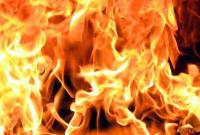В Киевской области в пожаре погибли двое детей