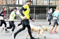 Незрячий мужчина пробежал Нью-Йоркский полумарафон. Ему помогли три собаки-поводыря