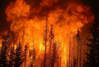 На Корсике пожары уничтожили более тысячи гектаров леса