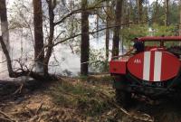 В Украине с начала года произошло не менее 596 лесных пожаров