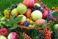 Груши, сливы, виноград и свечи: во сколько обойдется праздничная корзина на Яблочный Спас
