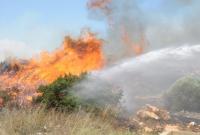 На Кипре два лесных пожара вышли из-под контроля