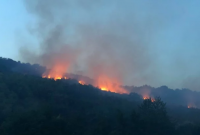 На Закарпатье вспыхнули крупные пожары: горели виноградники
