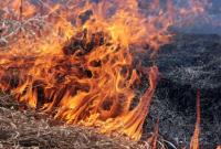 В Житомирской области погибли пожилые супруги из-за сжигания сухой травы