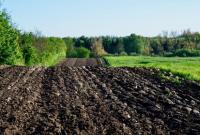 В Украине посеяли почти 1,5 млн га раннего ярового ячменя