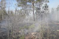 Из Беларуси на Украину надвигаются лесные пожары: на границе дежурят спасатели