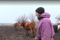Как живут люди в зоне на Донбассе, где произошло разведение войск (видео)