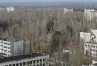 В Чернобыльской зоне отчуждения задержали сталкеров - хотели отдохнуть в радиационном лесу