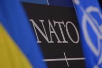Очевидный прогресс: Украина ввела вдвое больше стандартов НАТО чем член альянса