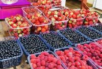 Насколько подорожали любимые ягоды украинцев