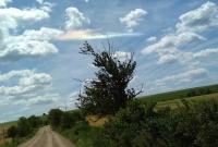 В Черновицкой области в небе зафиксировали огненную радугу