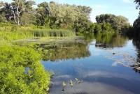 Загрязнение реки Рось: жители села в Винницкой области остались без питьевой воды