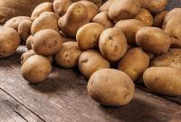 Украина нарастила импорт картофеля из Беларуси