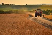 Все сельхозугодья внесут в Земельный кадастр до 1 августа 2020, – замминистра экономики