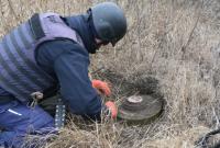 Пиротехники изъяли шесть взрывоопасных предметов возле Петровского