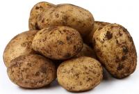 В октябре цены на картофель превысили 15 гривен