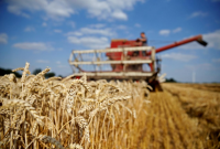 Украинские аграрии собрали рекордный урожай зерновых